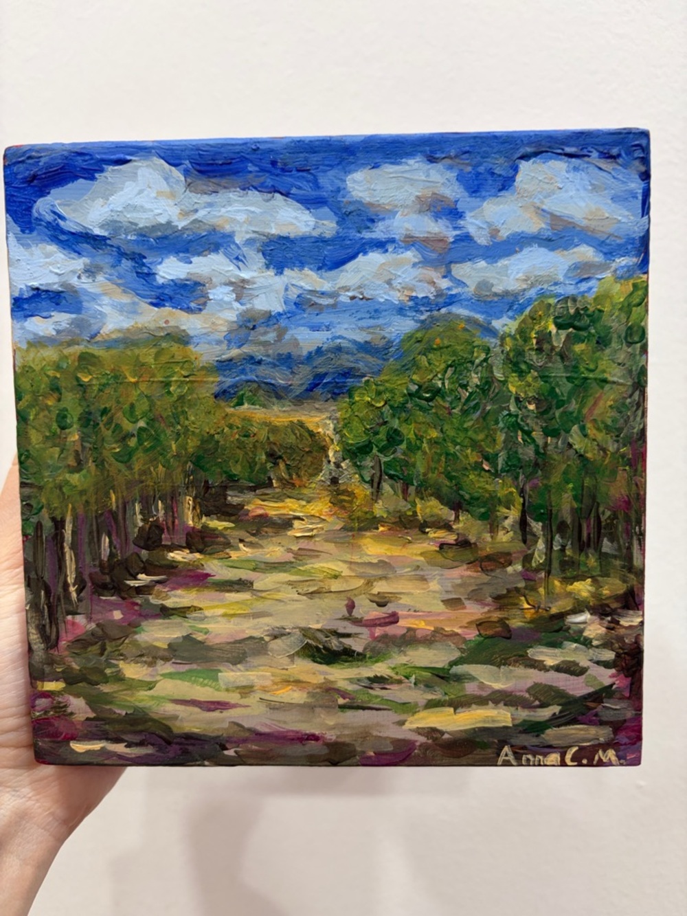 Signed Original Green & Blue Landscape Canvas Art Hand Painted